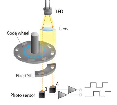 Identify Advantages of Using Encoder Software: A Journey Through Digital Alchemy